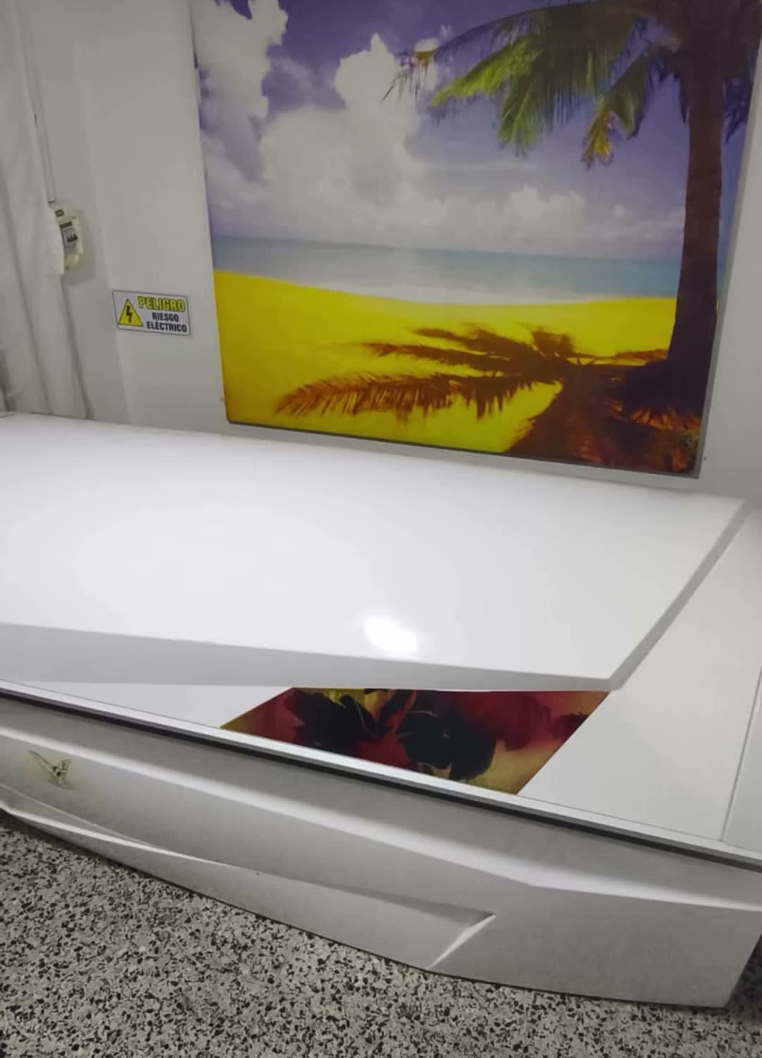 Cámara de colágeno con un cuadro de playa y palmera en la pared